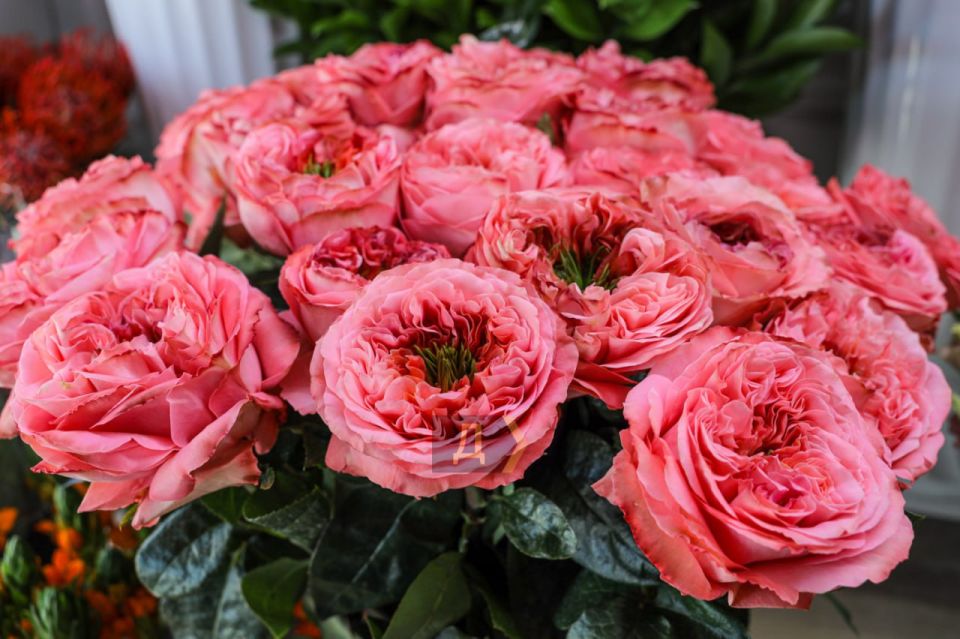 ������� ����� ����� � ������ 8 �����?