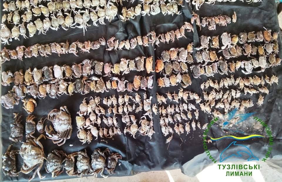 �� �������� ����������� ���������� ����� 20 ����� ������