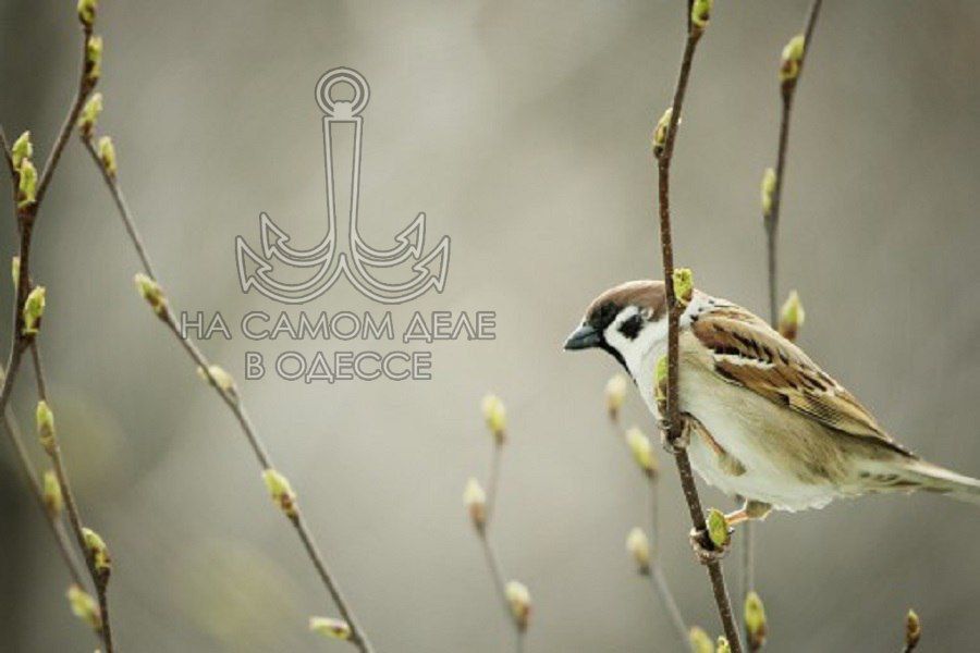 ������������ ������ 10 ����� 2026 ���� � ������ � ������� �����������: