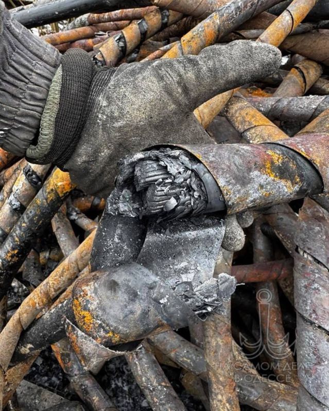 ������������ ������ 12 ����� 2026 ���� � ������ � ������� �����������: