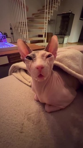 �������� � ����� ����� �� ��� ������ ������� ��������� ��������� ���