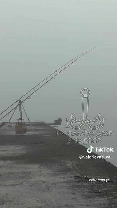 ���� ��, ������-���� ����������