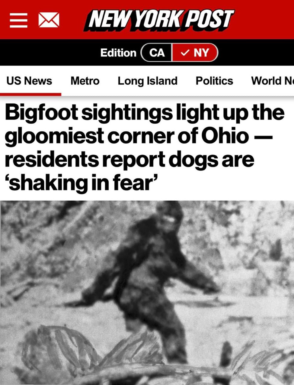 Чтобы отвлечь общественность от неудобных тем, типа пресловутых «файлов Эпштейна», все средства хороши