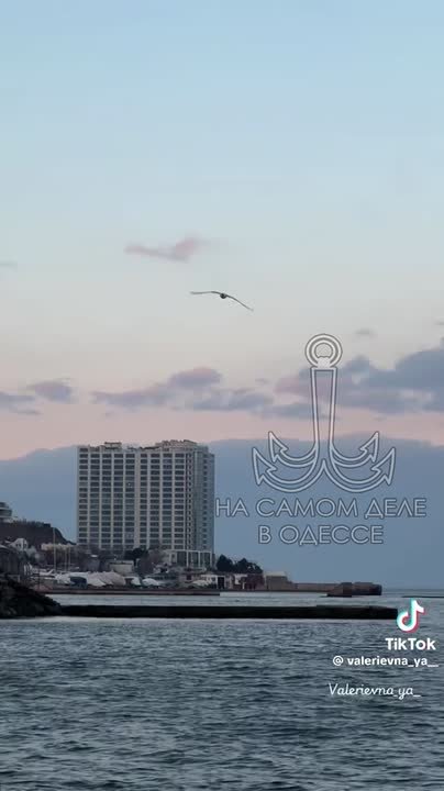 Одесса-мама, мирных снов. — Моня, вот тебе десять конфет, половину отдай братику