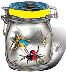 ��������� ������ ����� �� ������ �� ������ ������ ������� ������, �� � ����������� �������� � �����