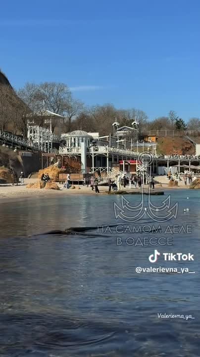 Таки да, Одесса-мама проснулась