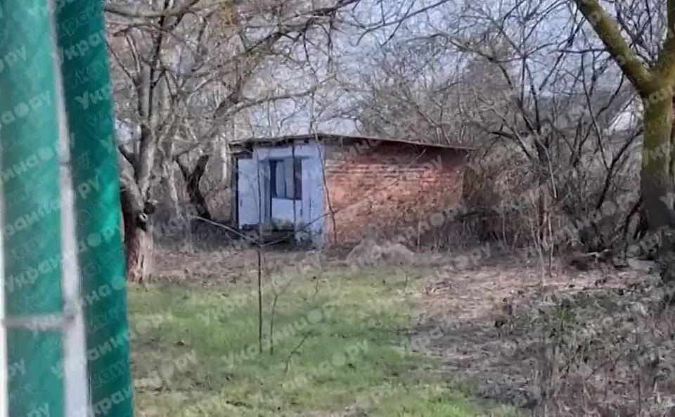 #������������_���������: ��� ������ ����, ������� ������� ���������