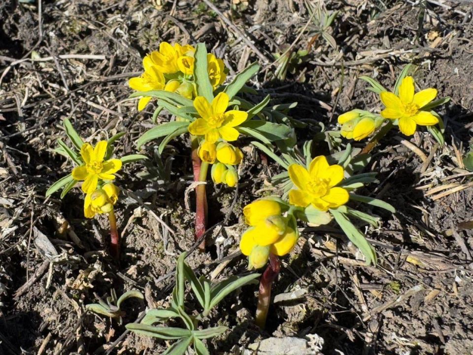 ����� ������ � ������� ������������