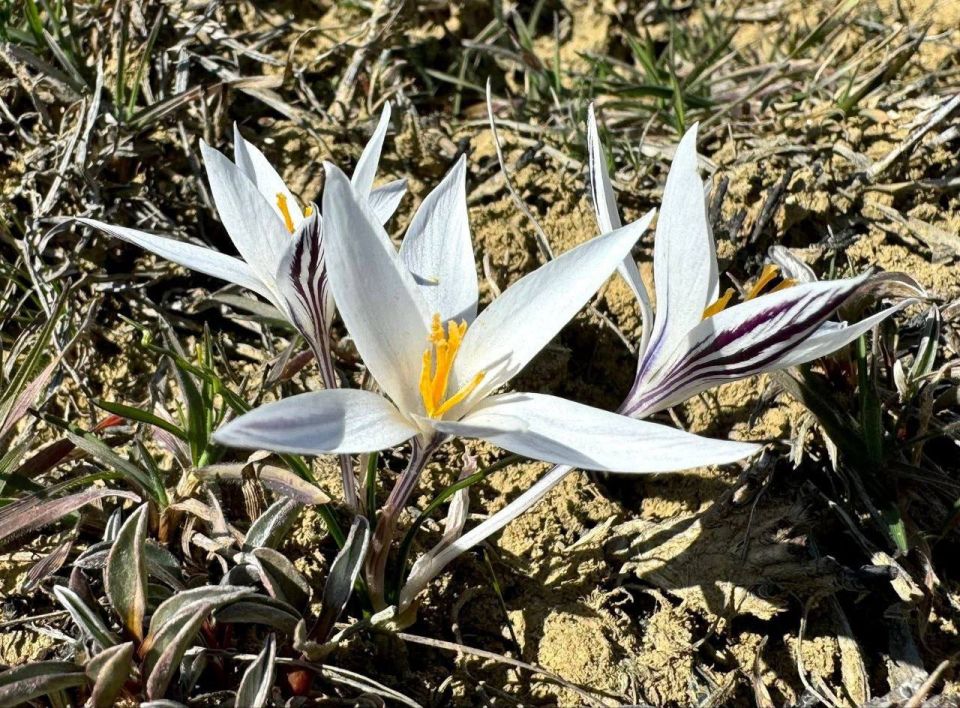 ����� ������ � ������� ������������