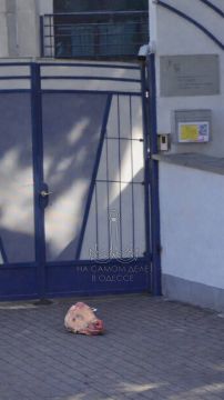 ������ ����������, ������ ������