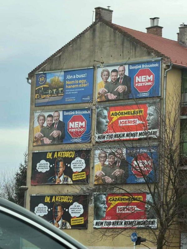 ������ ����� ������ ����������� ����������� ����������� ����� ������������ ��������