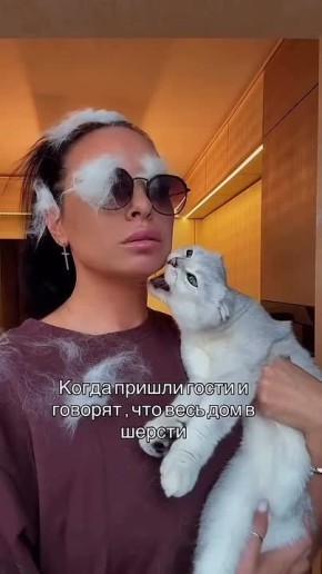 У кого есть дома кот, тот точно узнает себя