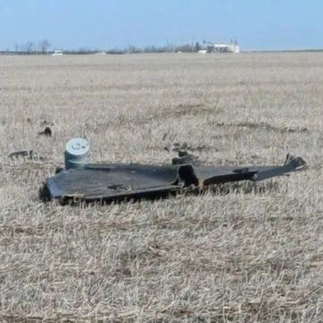 � �������� ������� ����� � �������� ����� ������� ����������� ����