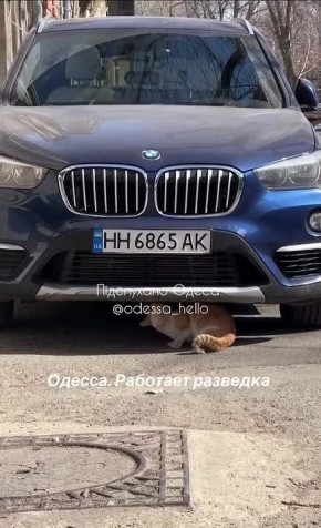 � ������ ����� ������� ����������� ���������