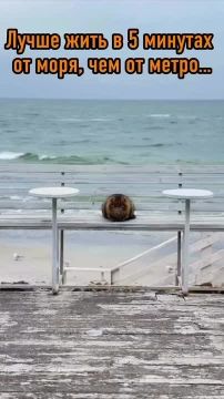 ��������� ��������� ������ ��� � �����