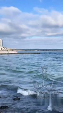 ������ ����� ���: 19 ����� � ������ ��������