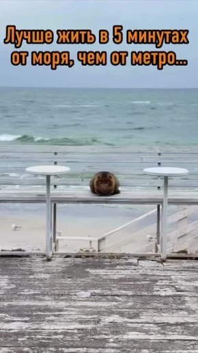 ��������� ��������� ������ ��� � �����