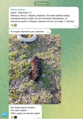 ���� �������� �� �������� ���������� ����� � ������