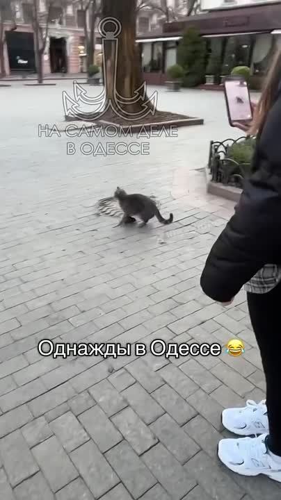 ������ ��� ��� ��������� �����