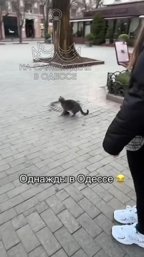 ������ ��� ��� ��������� �����