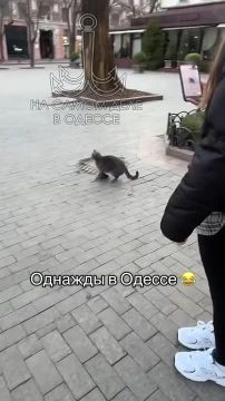 ������ ��� ��� ��������� �����