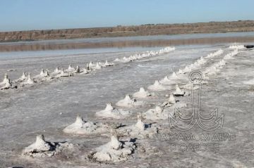 Паводок не спас Куяльницкий лиман: воды оказалось в 5 раз меньше нормы