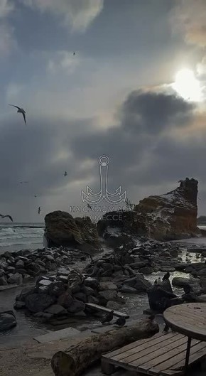 ������������ ������ 23 ����� 2026 ���� � ������ � ������� �����������: