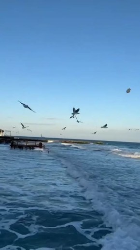 Доброе утро, Одесса. Температура: днем достигает +13°С, ощущаться будет как +10°С