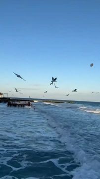 ������ ����, ������. �����������: ���� ��������� +13��, ��������� ����� ��� +10��