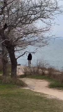 ������ ����, ������. �����������: ���� ��������� +14��, ��������� ����� ��� +9��