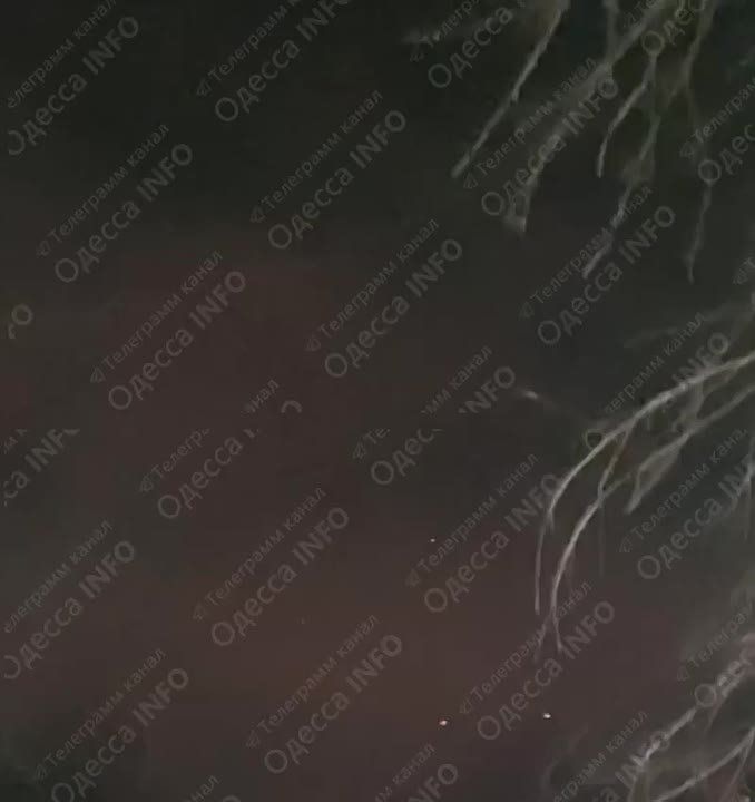 ���� ��������: ������������� ���� �� 14 �������� �������: ���������, ������� � ����������� �������� ����������, ����� � ������� �������