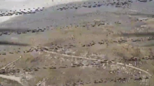 ���� ��������� ������ ���������� ������������ ����� ������ �� �������� ���������� ����� �� �������!