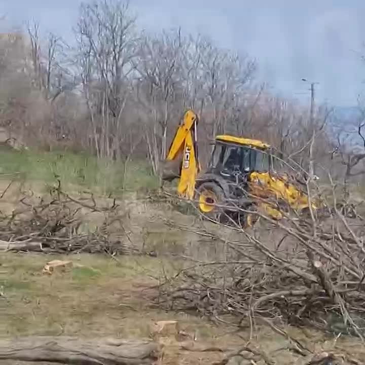 Жители Одессы пожаловались на незаконную стройку рядом с Трассой здоровья