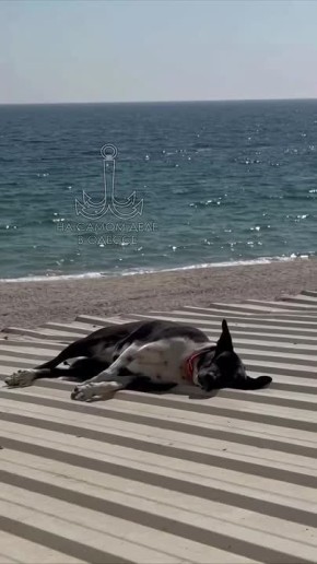 ���� ��, ������-���� ����������