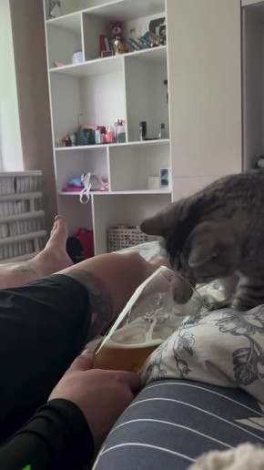 ��� �� � ��������� �� ������ ��������!