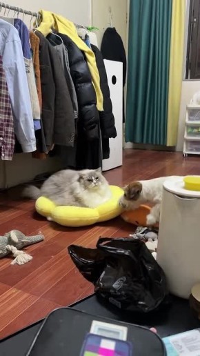 ����� ��������� ��������� ���� ������ ����� ����-�� ��������� � ������� �������