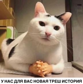 В селе Стояново Раздельнянского района в больницу обратилась 35-летняя женщина с пулевым ранением передней брюшной стенки