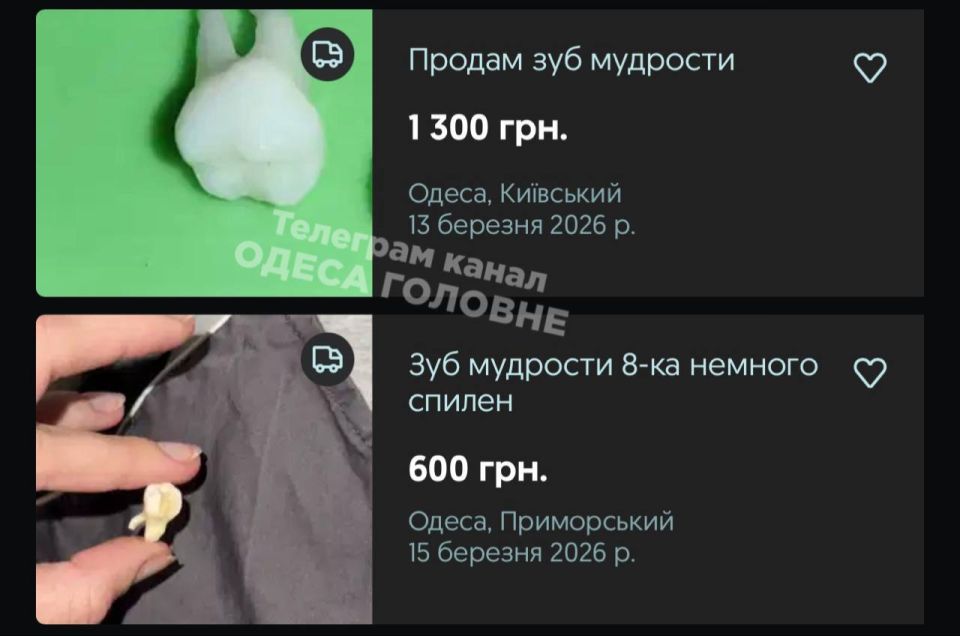 � ������ ����� ������ ����� ���� ��������