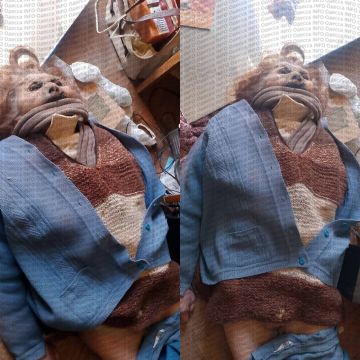 � ������ ����� ���������������� ���� ��������