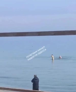 �� �������� ����� ��� ������� ��������� �����