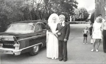 ������ ���� �������� ������� ������