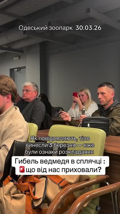 Не проснулся после спячки: в Одесском зоопарке умер медведь Бумер