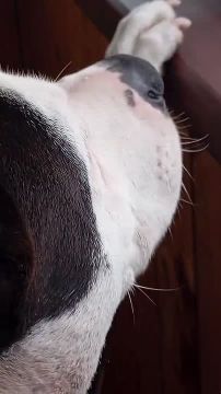 ������� ������ �� ���������� ������� 30 ����� - 31 ����� 2026 ����