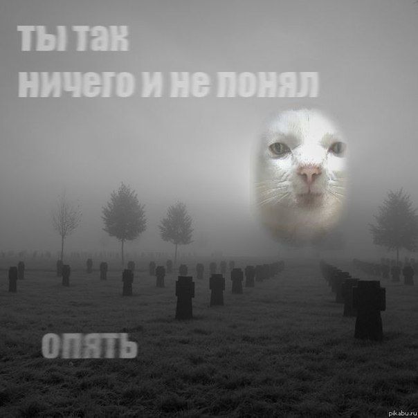 ������� ������: ��� ������ ����� ����������� � ��������������, ��� "���������� ���������"