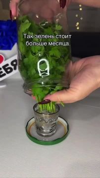 Найден способ сохранения свежести зелени в холодильнике