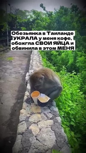 ������ ����, ������. ����� ���� ������� ����� � ��������� ����� ���������, ��� �� ������� ����������