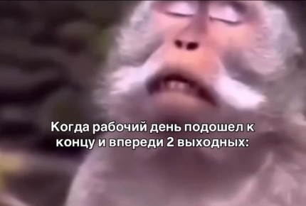 Вот и завершилась пятница, и впереди долгожданные выходные