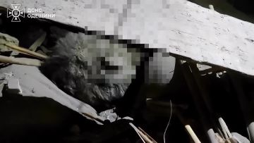 � ��������� ����� ���������� ����� ������ ����