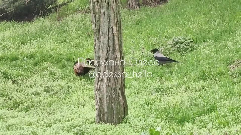 ������ �������� �������� �� 10-� �������