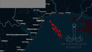 ������ �� ���� �� 04 ������ 2026 ����